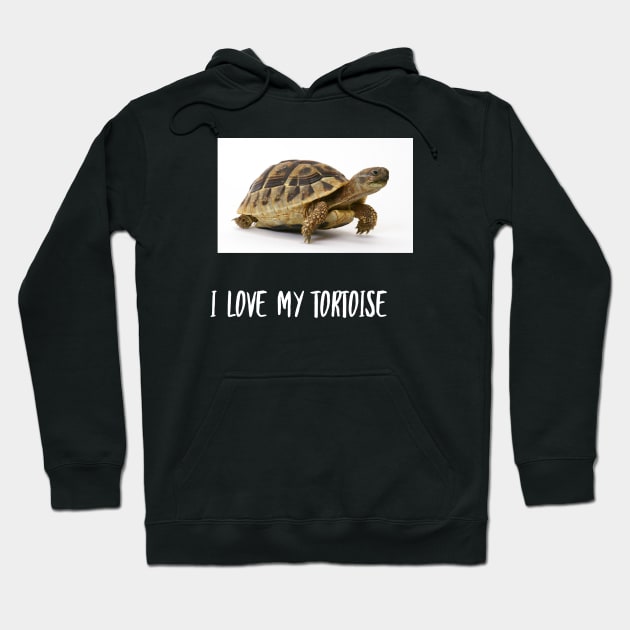 Tortoise hoodie online